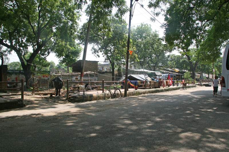 India & Nepal 2011 - 0722